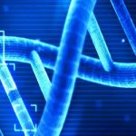 Обществознание и биология: куда поступать