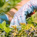 садовница за работой в оранжерее