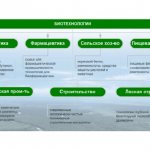 Сферы применения биотехнологии
