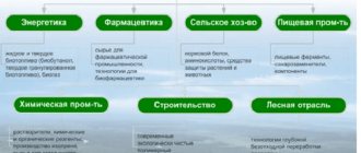 Сферы применения биотехнологии